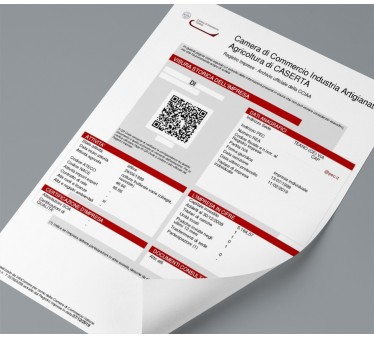 Visura Camerale Storica