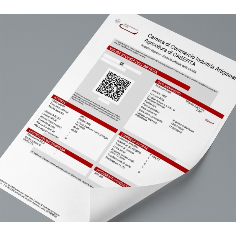 Visura Camerale Storica Visura Camerale Storica