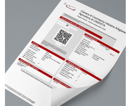 Visura Camerale Storica