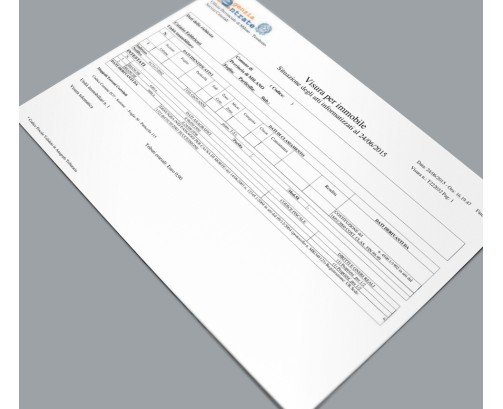 Visura Catastale Ordinaria