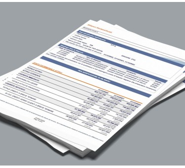 Bilancio Riclassificato e Commentato