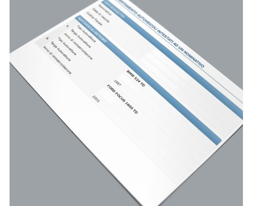 Visura Veicoli Intestati