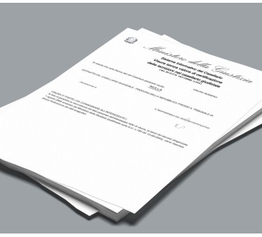 Visura del Casellario Giudiziale