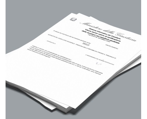 Visura del Casellario Giudiziale