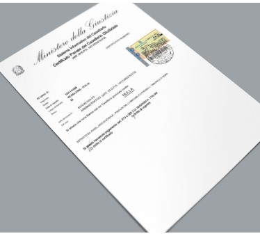 Certificato Casellario Giudiziale