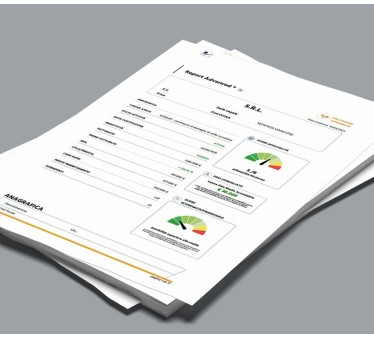 Report Azienda GOLD PLUS