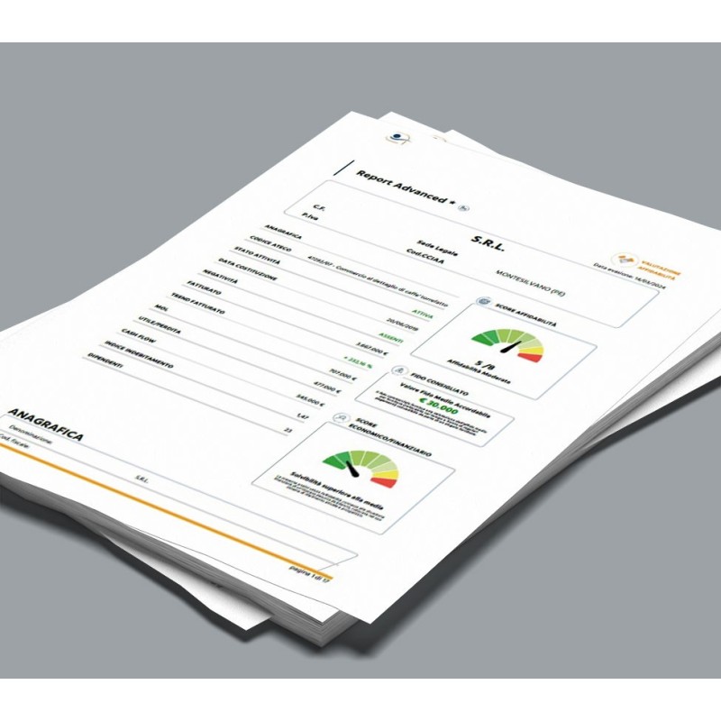 Report Azienda GOLD PLUS