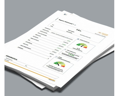 Report Azienda GOLD PLUS