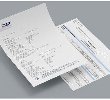 Visura CRIF e Visura Banca d'Italia