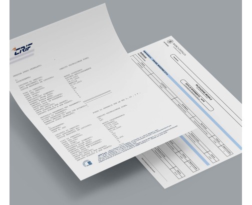 Visura CRIF e Visura Banca d'Italia